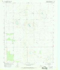 Download a high-resolution, GPS-compatible USGS topo map for Norton Lake, TX (1969 edition)