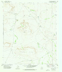 Download a high-resolution, GPS-compatible USGS topo map for Norton Mesa, TX (1976 edition)
