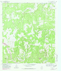 Download a high-resolution, GPS-compatible USGS topo map for Nott Branch, TX (1982 edition)