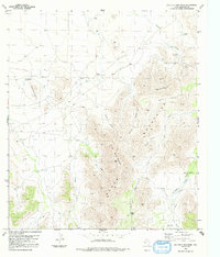 Download a high-resolution, GPS-compatible USGS topo map for Old Blue Mountain, TX (1992 edition)