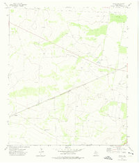 Download a high-resolution, GPS-compatible USGS topo map for Owego, TX (1975 edition)