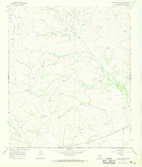 Download a high-resolution, GPS-compatible USGS topo map for Owens Creek NE, TX (1969 edition)