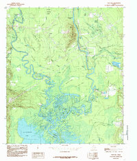 Download a high-resolution, GPS-compatible USGS topo map for Pace Hill, TX (1985 edition)