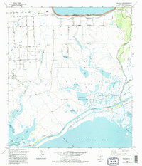 Download a high-resolution, GPS-compatible USGS topo map for Palacios NE, TX (1995 edition)