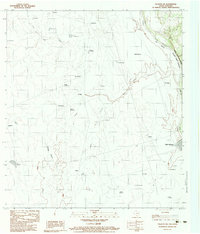Download a high-resolution, GPS-compatible USGS topo map for Palafox SW, TX (1983 edition)