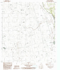 Download a high-resolution, GPS-compatible USGS topo map for Palafox SW, TX (1992 edition)