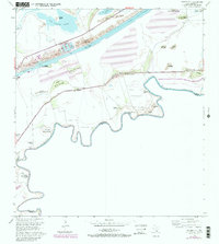 Download a high-resolution, GPS-compatible USGS topo map for Palmito Hill, TX (1984 edition)