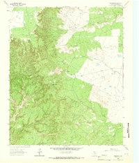 Download a high-resolution, GPS-compatible USGS topo map for Paloduro, TX (1966 edition)