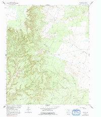 Download a high-resolution, GPS-compatible USGS topo map for Paloduro, TX (1991 edition)