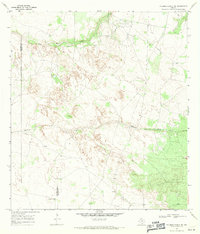 Download a high-resolution, GPS-compatible USGS topo map for Palomas Ranch NW, TX (1971 edition)