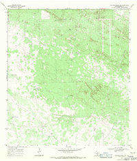 preview thumbnail of historical topo map of Brooks County, TX in 1968