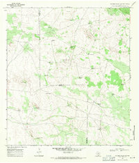 preview thumbnail of historical topo map of Brooks County, TX in 1968