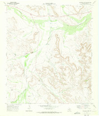 Download a high-resolution, GPS-compatible USGS topo map for Panther Bluff, TX (1973 edition)