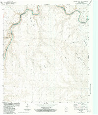 Download a high-resolution, GPS-compatible USGS topo map for Panther Gulch East, TX (1984 edition)