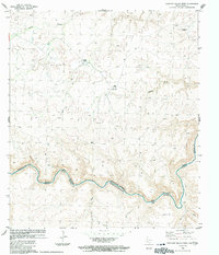 Download a high-resolution, GPS-compatible USGS topo map for Panther Gulch West, TX (1991 edition)