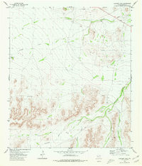 preview thumbnail of historical topo map of Pecos County, TX in 1980