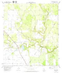 Download a high-resolution, GPS-compatible USGS topo map for Papalote, TX (1979 edition)