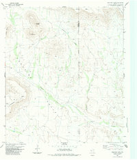 Download a high-resolution, GPS-compatible USGS topo map for Paradise Draw, TX (1984 edition)