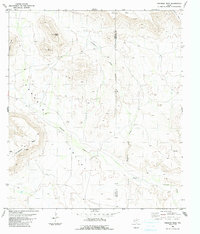 Download a high-resolution, GPS-compatible USGS topo map for Paradise Draw, TX (1991 edition)