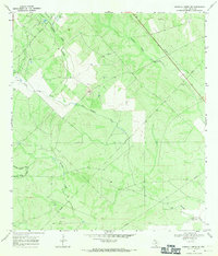 Download a high-resolution, GPS-compatible USGS topo map for Parrilla Creek NE, TX (1971 edition)