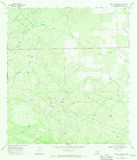 Download a high-resolution, GPS-compatible USGS topo map for Parrilla Creek SE, TX (1971 edition)