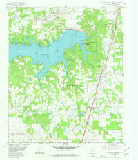 Download a high-resolution, GPS-compatible USGS topo map for Pat Mayse Lake East, TX (1981 edition)