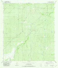 Download a high-resolution, GPS-compatible USGS topo map for Pato Creek, TX (1980 edition)