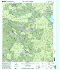 Download a high-resolution, GPS-compatible USGS topo map for Patroon North, TX (2004 edition)