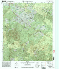 Download a high-resolution, GPS-compatible USGS topo map for Patroon South, TX (2004 edition)