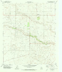 Download a high-resolution, GPS-compatible USGS topo map for Paynes Corner, TX (1973 edition)