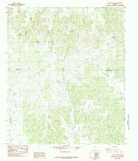preview thumbnail of historical topo map of Tom Green County, TX in 1984