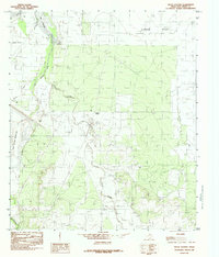 Download a high-resolution, GPS-compatible USGS topo map for Pecan Station, TX (1984 edition)