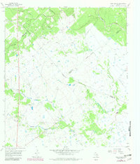 Download a high-resolution, GPS-compatible USGS topo map for Peck Branch, TX (1983 edition)