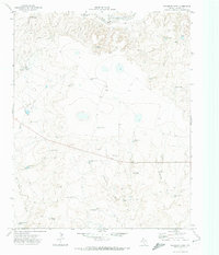 Download a high-resolution, GPS-compatible USGS topo map for Pedarosa Camp, TX (1974 edition)