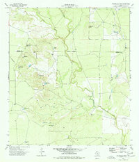 Download a high-resolution, GPS-compatible USGS topo map for Peloncillo Peak, TX (1977 edition)