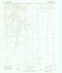 Download a high-resolution, GPS-compatible USGS topo map for Perryton NW, TX (1976 edition)