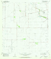 Download a high-resolution, GPS-compatible USGS topo map for Petronila NE, TX (1972 edition)