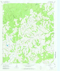 Download a high-resolution, GPS-compatible USGS topo map for Petteway, TX (1982 edition)