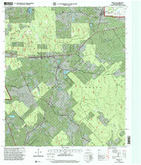 preview thumbnail of historical topo map of Walker County, TX in 1997