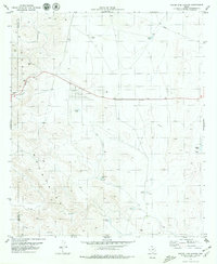 Download a high-resolution, GPS-compatible USGS topo map for Phone Line Canyon, TX (1979 edition)