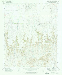 Download a high-resolution, GPS-compatible USGS topo map for Pickett Ranch Creek, TX (1975 edition)