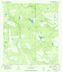 Download a high-resolution, GPS-compatible USGS topo map for Piedra Creek NE, TX (1977 edition)