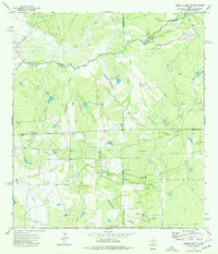 Download a high-resolution, GPS-compatible USGS topo map for Piedra Creek SE, TX (1977 edition)