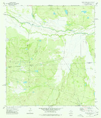 Download a high-resolution, GPS-compatible USGS topo map for Piedra Creek SW, TX (1977 edition)