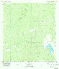 Download a high-resolution, GPS-compatible USGS topo map for Piedra Parada Tank, TX (1980 edition)
