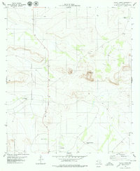 Download a high-resolution, GPS-compatible USGS topo map for Pierce Ranch, TX (1979 edition)