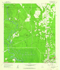 Download a high-resolution, GPS-compatible USGS topo map for Pine Forest, TX (1962 edition)