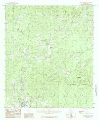 Download a high-resolution, GPS-compatible USGS topo map for Pineland North, TX (1984 edition)