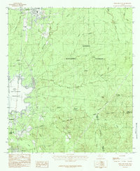 Download a high-resolution, GPS-compatible USGS topo map for Pineland South, TX (1984 edition)