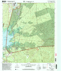 Download a high-resolution, GPS-compatible USGS topo map for Pineland South, TX (2004 edition)